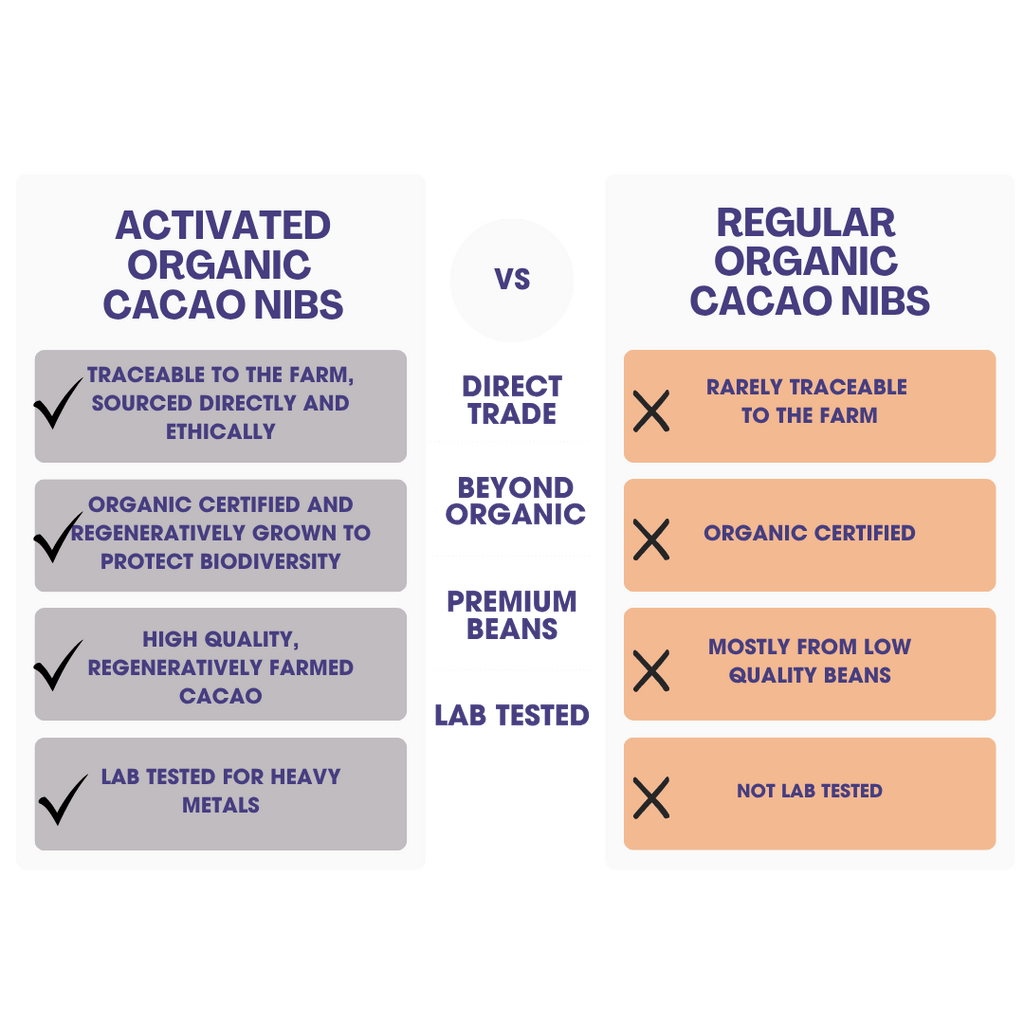 Cacao Nibs