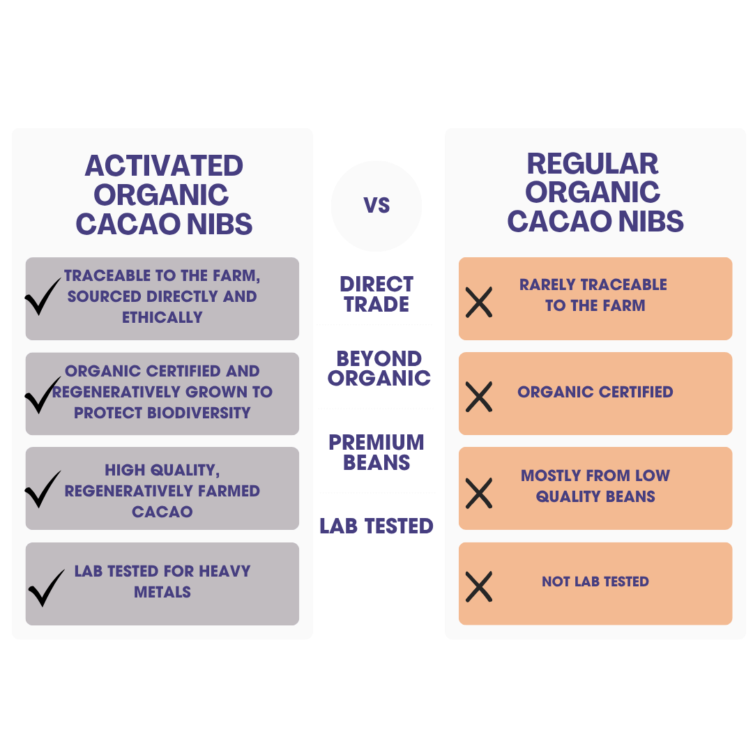 Cacao Nibs
