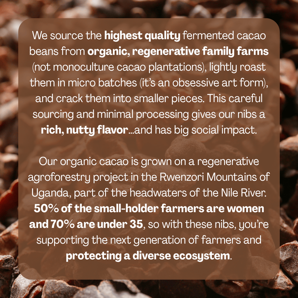 Cacao Nibs
