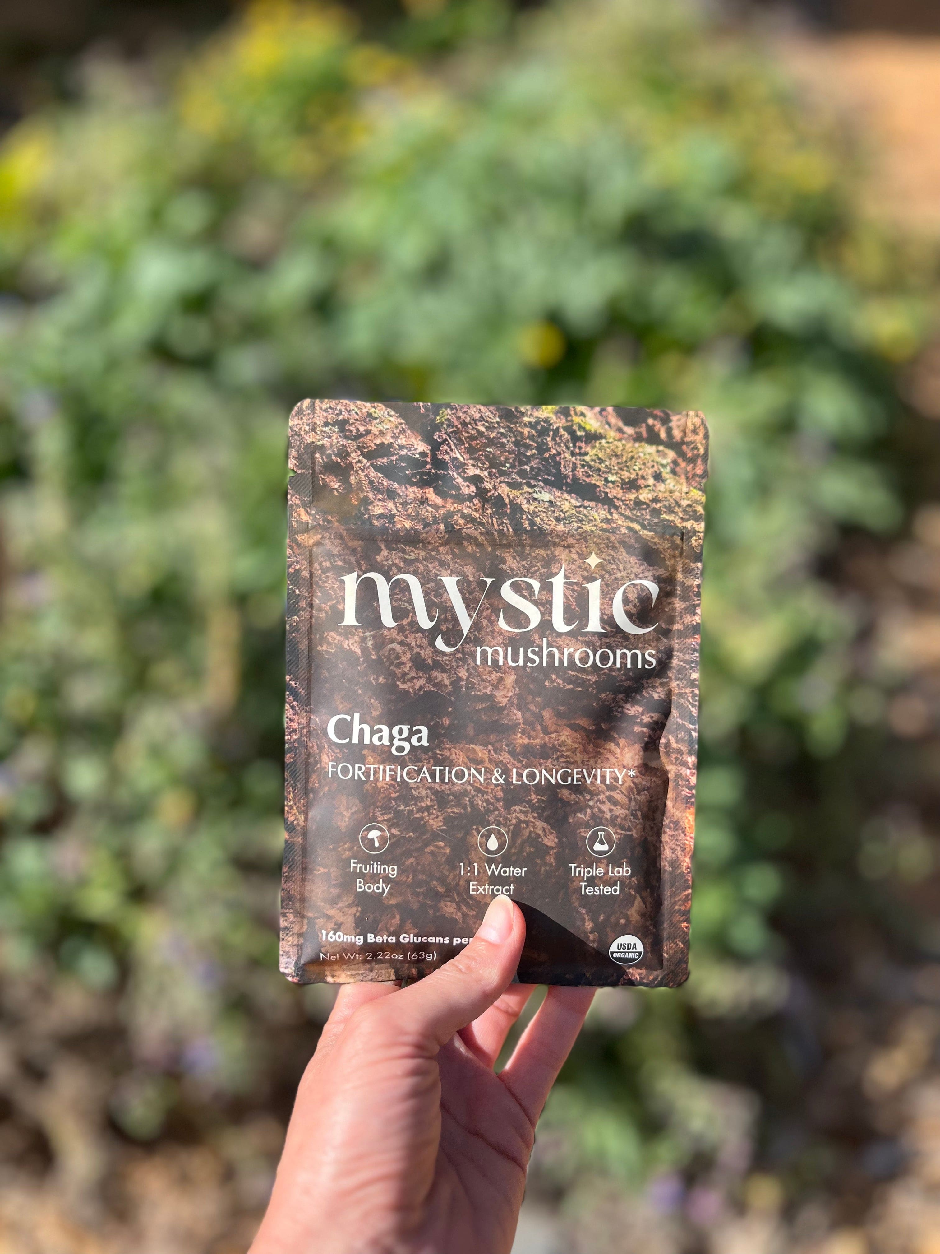 Chaga Mushroom Extract