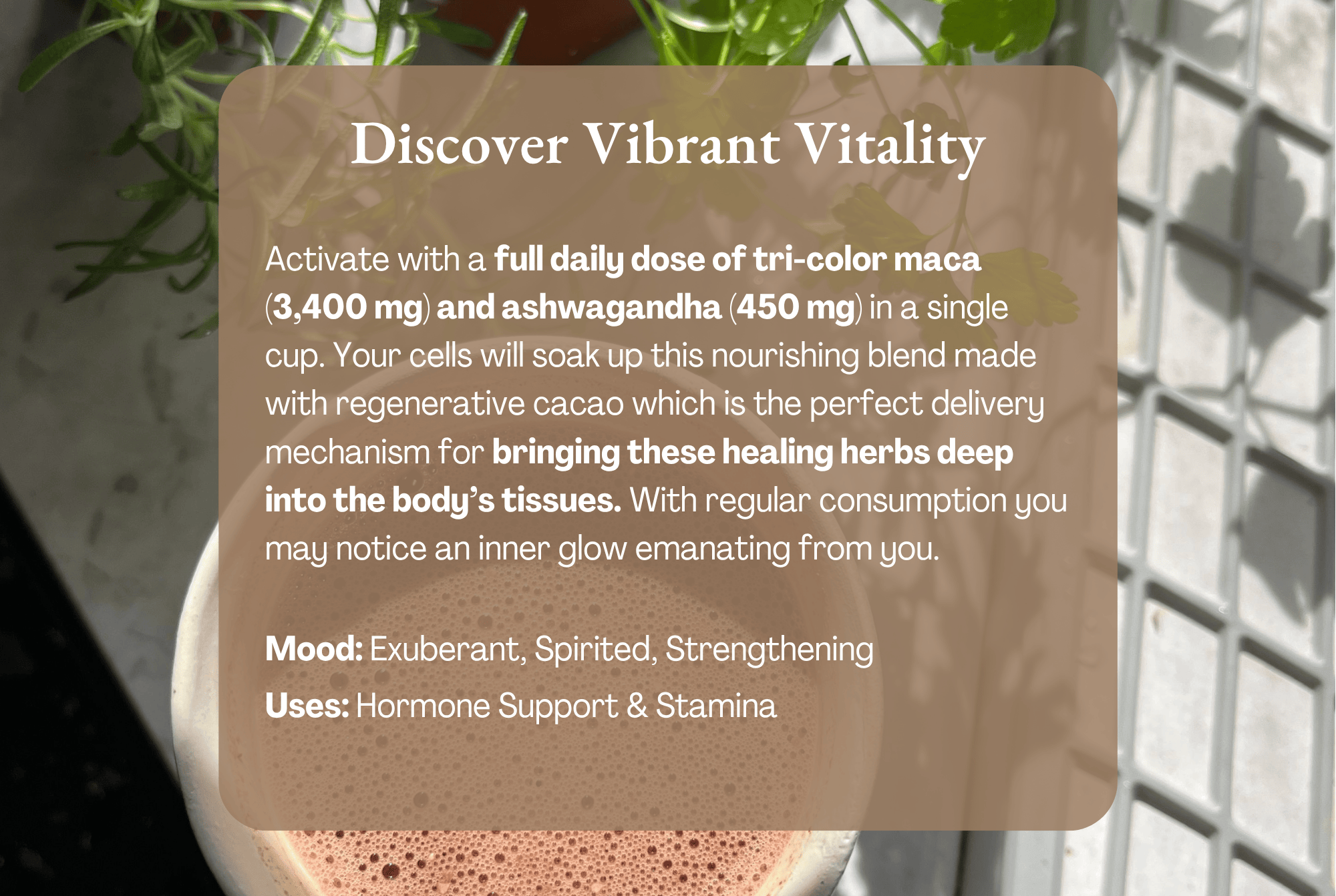 Vibrant Vitality