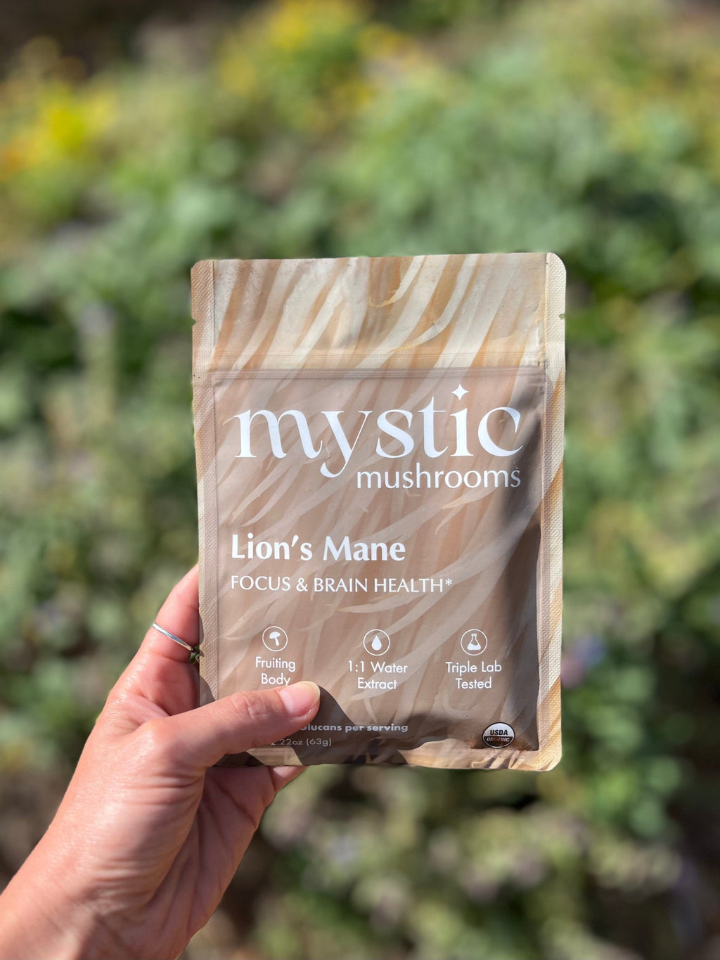 Lion's Mane Mushroom Extract