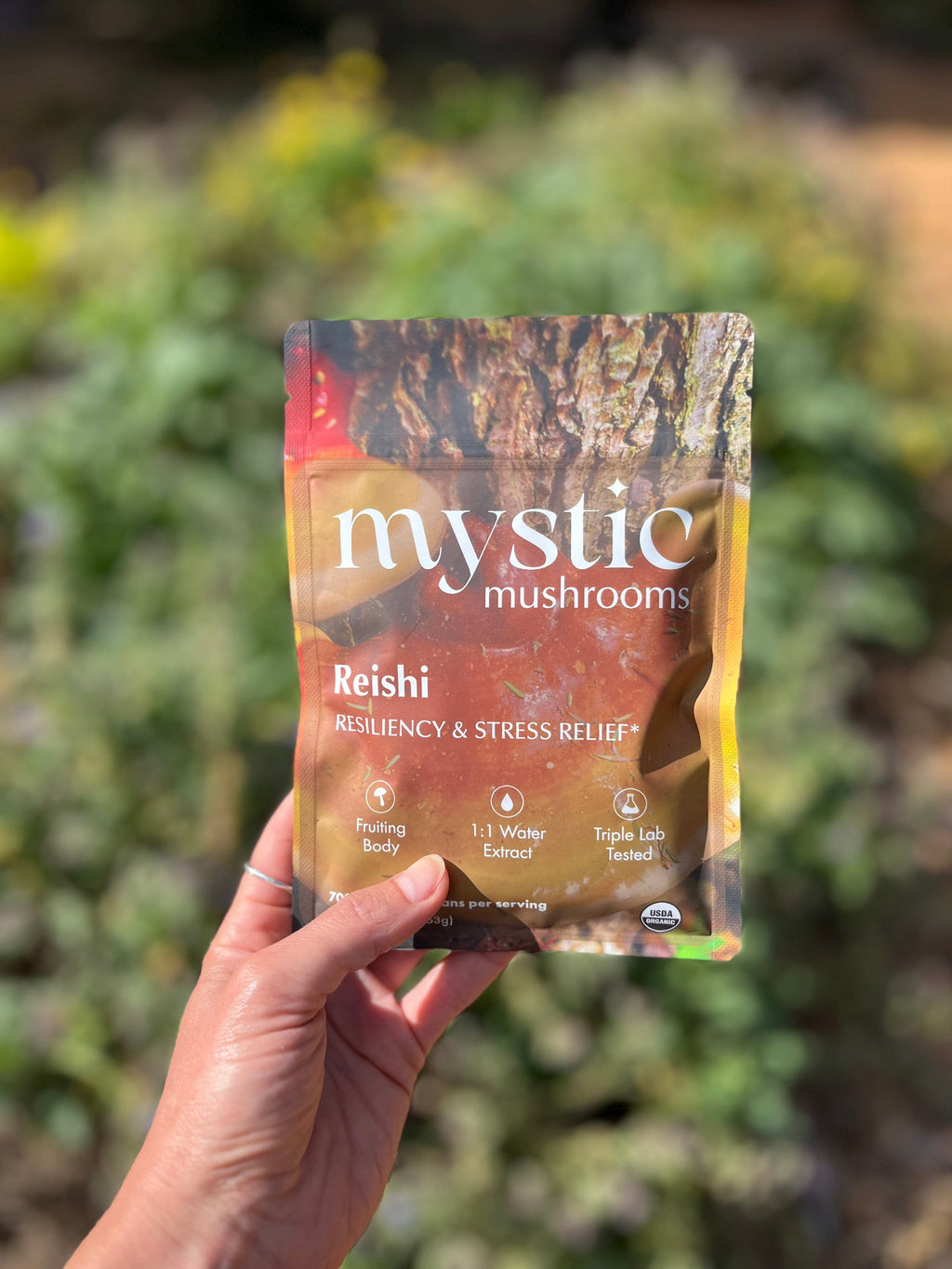 Reishi Mushroom Extract