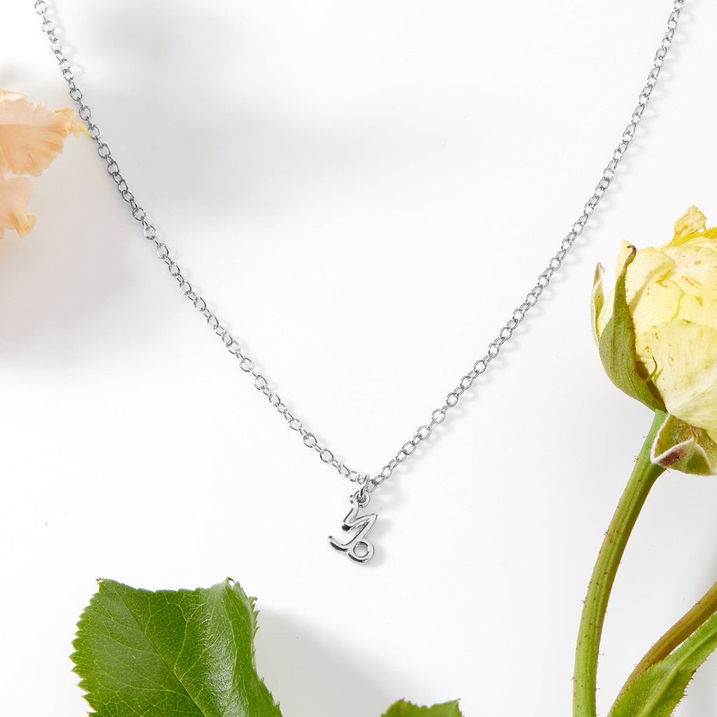 Celestial Capricorn Zodiac Necklace