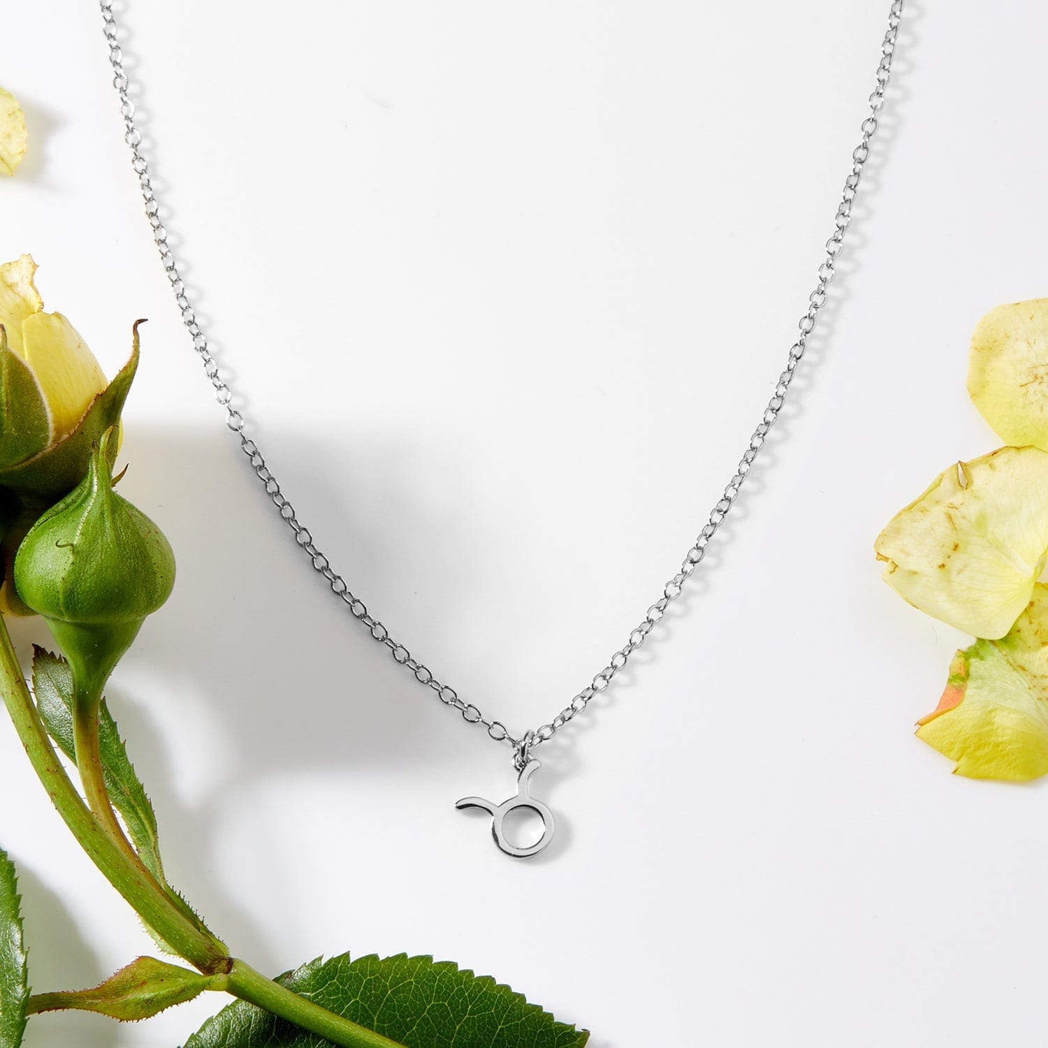 Celestial Taurus Zodiac Necklace